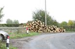 3-logs1.jpg