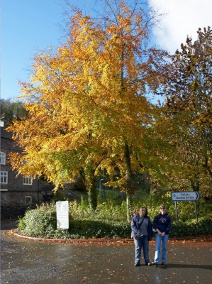 Marjorie and Julie Wong - Autumn in Shropshire
Anahtar kelimeler: Autumn England Ironbridge Julie Wong Severn River Shropshire