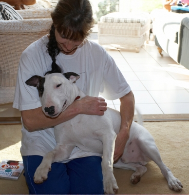 Marjorie and Mana
Anahtar kelimeler: Animal Animals Dog Dogs English Bull Terrier Mana Marjorie Pet Pets