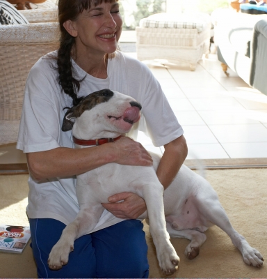 Marjorie and Mana
Palabras clave: Animal Animals Dog Dogs English Bull Terrier Mana Marjorie Pet Pets