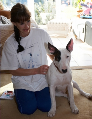 Marjorie and Mana
Palabras clave: Animal Animals Dog Dogs English Bull Terrier Mana Marjorie Pet Pets