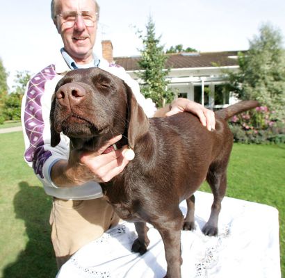 Holly Having A Massage
As you can see from Holly's eyes, she went into the Zen Zone when having her Sunday morning massage from Vic.
Klíčová slova: Holly Chocolate Labrador dog massage Vic Zen Zone Ritz Canine Sunday morning
