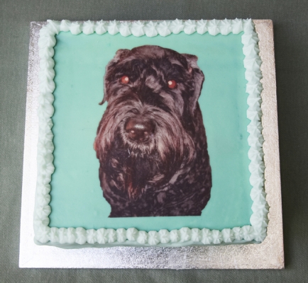 Another celebration
Keywords: Birthday Cake Dog Dogs