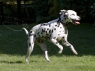 2q9w7425.jpg