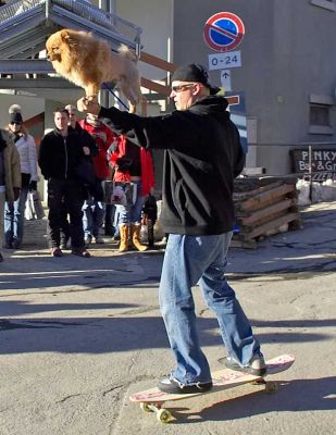Man, Dog, Skateboard - Sestiere
Tom Green, the comedian, was filming in Sestiere.  For some reason, there was a dude with a skateboard and a red dog, and they came riding down what passes for the main street.
Keywords: Sestiere dog skateboard Tom Green Italy
