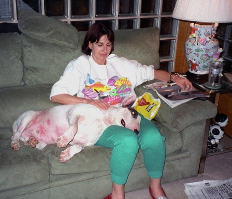 Oooh, nuffin' better than a cuddle
Ключови думи: Dog Dogs english Bull Terrier Marjorie Pau