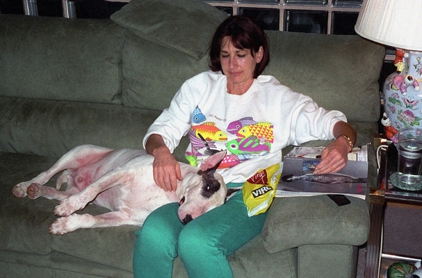 Yesssssssss, just there
Palabras clave: Dog Dogs english Bull Terrier Marjorie Pau
