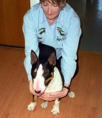 I jus' love ........
الكلمات الإستدلالية(لتسهيل البحث): Cathy English Bull Terrier Tapa