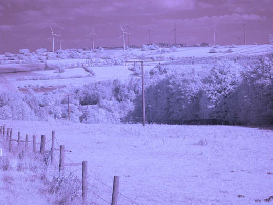 A warm, sunny day looking like snow courtesy of infra red
An infra red view of the windmills on our drive in Germany
Schlüsselwörter: Germany Windmill windmills