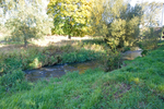 Z2Q9W9804-2.jpg