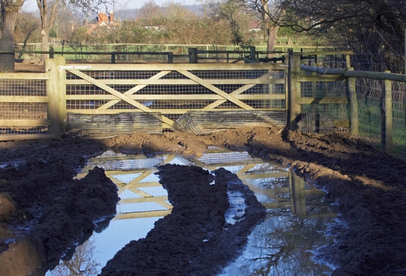 A Gate in the Pig Fields
It's been a bit of a rainy, muddy winter.  This field actually has field drains --- we installed them when we purchased the field in the mid-1990's.  But the clay soil retains water, and it's rainy and wet here.
Schlüsselwörter: gate Lucies Farm field drain clay water tractor tracks Powick Colletts Green sunny Worcestershire