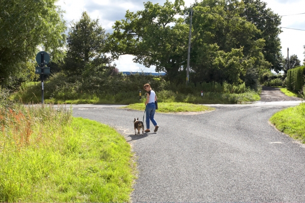Marjorie Walking Tapa
Having a stroll on King's End Lane in the summer sunshine.
Palabras clave: Marjorie Tapa English Bull Terrier King's End Lane Powick