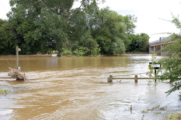 The River Teme -- In Full Flood
Keywords: River Teme Flood Powick
