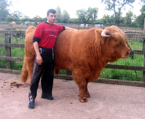Artur and Ross
In the Lucies Farm stable yard, before Ross' trip to Manchester.
Palabras clave: Artur Ivanyan Ross of Bien Esk Highland bull