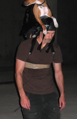 Matthew Barney with Zuko the Basenji
Testing the dog harness for [i]Guardian of the Veil[/i] with Zuko.
Palabras clave: Zuko Basenji dog Matthew Barney Guardian of the Veil