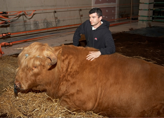 Artur Ivanyan Posing With Ross
Ključne besede: Ross of Bien Esk Artur Ivanyan Highland Bull Highland Cattle