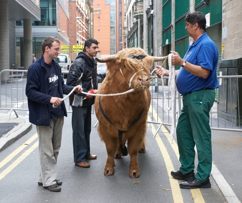 Ross of Bien Esk
Waiting behind the Manchester Opera House.
Palabras clave: Ross of Bien Esk Highland Bull Grzegorz Bednarski Artur Ivanyan Digby Gribble Manchester Opera House