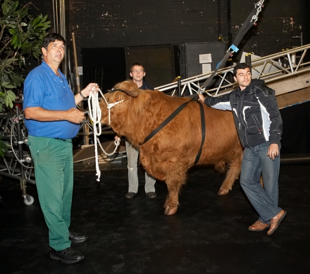 Ross of Bien Esk on the Stage for the First Time
With Digby Gribble, Grzegorz Bednarski, and Artur Ivanyan.
Klíčová slova: Ross of Bien Esk Manchester Opera House Highland Bull Digby Gribble Grzegorz Bednarski Artur Ivanyan