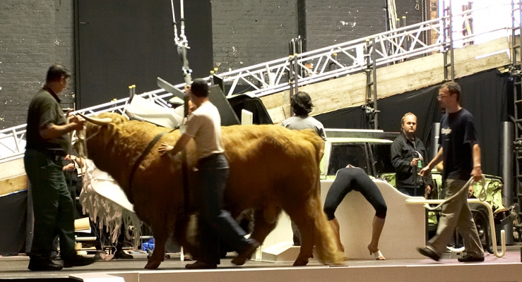 Ross At His First Rehearsal
Being led by Digby Gribble.
Klíčová slova: Ross of Bien Esk Digby Gribble Highland Bull Chrysler Imperial Manchester Opera House