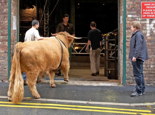Ross Getting Ready For His Performance
Palabras Clave: Artur Ivanyan Ross of Bien Esk Grzegorz Bednarski Digby Gribble Jack Thompson Manchester Opera House
