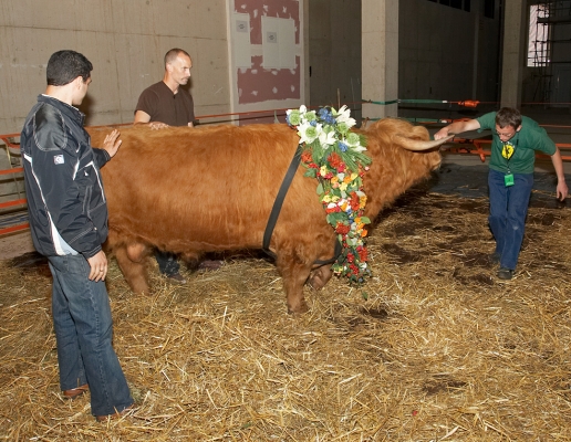 Ross With His Garland of Egyptian Flowers
Ključne besede: Matthew Barney Artur Ivanyan Ross of Bien Esk flowers Grzegorz Bednarski