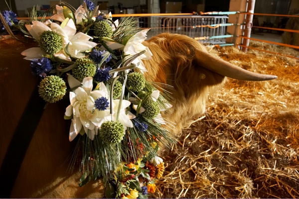 Egyptian Floral Garland
Anahtar kelimeler: Ross of Bien Esk Egyptian floral garland Apis bull Highland bull