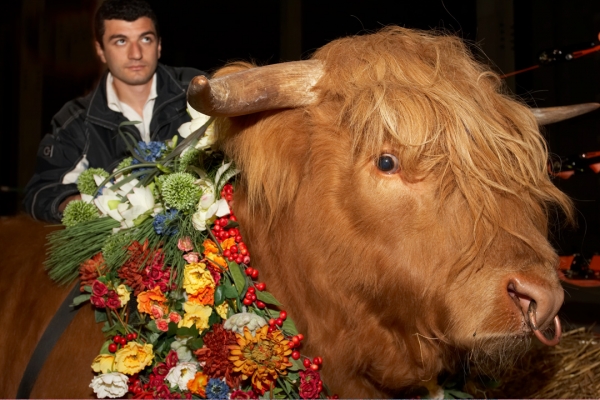 Artur with Ross of Bien Esk
Anahtar kelimeler: Artur Ivanyan Ross of Bien Esk Highland bull garland flowers