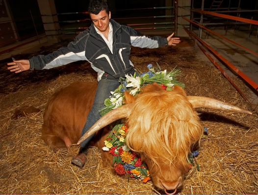 Artur on Ross
Ross was so gentle that he didn't mind Artur playing cowboy.  
Keywords: Ross of Bien Esk Artur Ivanyan cowboy rodeo flowers