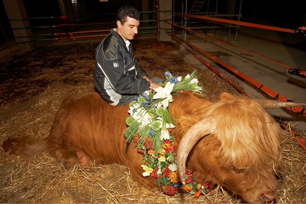 Artur and Ross of Bien Esk
Ross is so placid he didn't mind Artur sitting (gently) on him.
Klíčová slova: Artur Ivanyan Ross of Bien Esk Highland Bull
