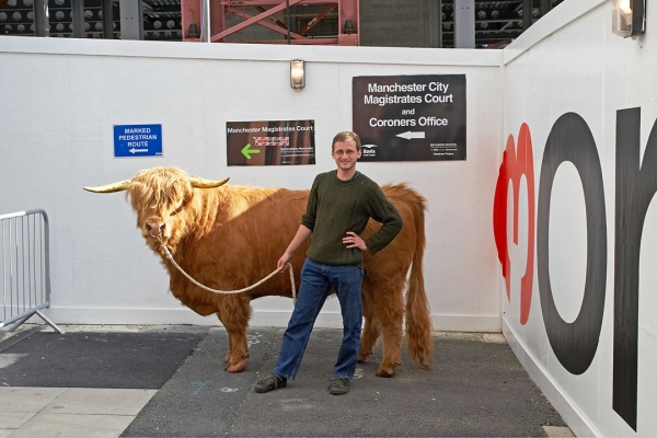 Ross and Grzegorz
Ross on the pedestrian passage (temporarily closed with barricades and security guards) beneath the Manchester Magistrates' and Cornoner's Court.  We took Ross for several brief walks during his week in Manchester --- to give him some fresh air and some sunlight on his back.
Keywords: Ross of Bien Esk Highland bull Manchester Magistrates' Court Grzegorz Bednarski