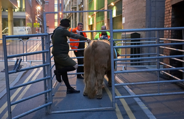 Digby and Two Security Guards
At the back of the Manchester Opera House, with Ross in his temporary holding pen.  Ross always had a large contingent of security guards when at the back of the theatre.
Anahtar kelimeler: Digby Gribble Manchester Opera House security guards Ross of Bien Esk Highland bull