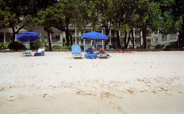 Marjorie on the Beach at the Sandy Lane Hotel, Barbados
Marjorie relaxing under a blue umbrella.  The trees in the background were manchineel trees, common near the beach in the Caribbean.  One little worry:  "Standing under the tree is hazardous if it is raining. The water passing through the leaves and fruit will cause burns and blisters if it comes in contact with your skin."  Fortunately, it was sunny.
Palabras clave: Barbados Caribbean Continental Island Continental Islands Island Islands Manchineel tree Nikonos V camera Sandy Lane Hotel