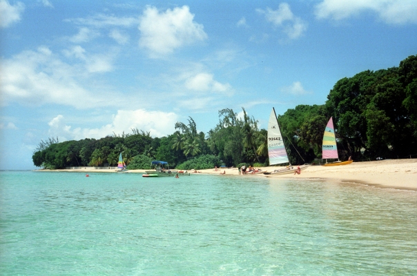 The Beach at the Sandy Lane Hotel
Taken from the water with my then-new Nikonos V underwater camera.
Anahtar kelimeler: Barbados Caribbean Continental Island Continental Islands Island Islands Manchineel Trees Nikonos V camera Sandy Lane Hotel