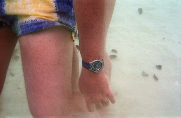My New Underwater Watch
Palabras clave: Barbados Caribbean Continental Island Continental Islands Island Islands Nikonos V camera Sandy Lane Hotel Tiffany & Co. Underwater watch