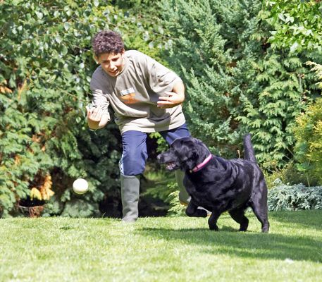 We're just a couple of puppies having fun
Schlüsselwörter: Millie Black Labrador Ross