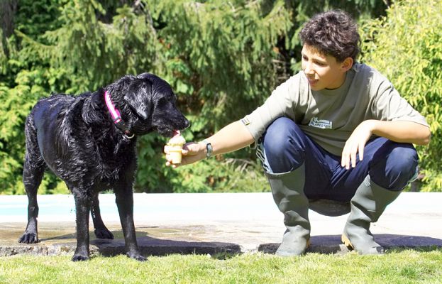 Ice cream.  Just what a girl needs after a swim
Λέξεις-κλειδιά: Ross Millie Black Labrador Haddock ice cream
