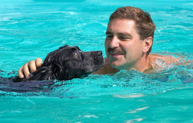 Gosh, another swimming lesson.  Don't leave me!
Schlüsselwörter: Bracken Cocker Spaniel Zbigniew