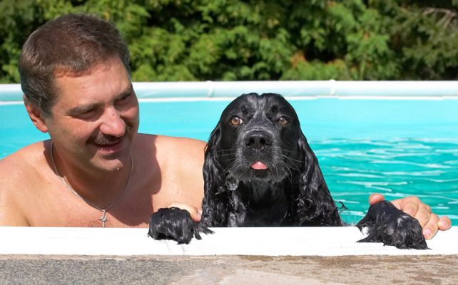 Oh, OK, it's not that bad really
Ключевые слова: Bracken Cocker Spaniel Zbigniew