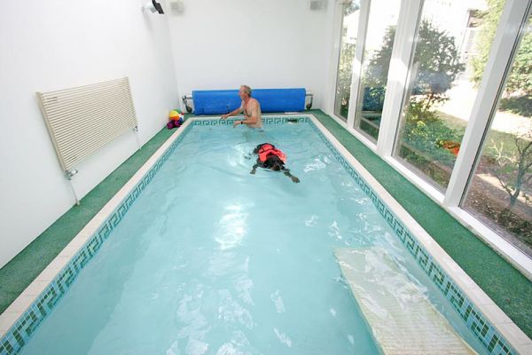 Ronan and Vic in the Pool
Vic is heading off to get the floating pool toys:  Ronan is heading back to the ramp.
Ключови думи: Ronan Rottweiler Vic dog swimming canine hydrotherapy Lucies Farm Ritz Canine PetRamp