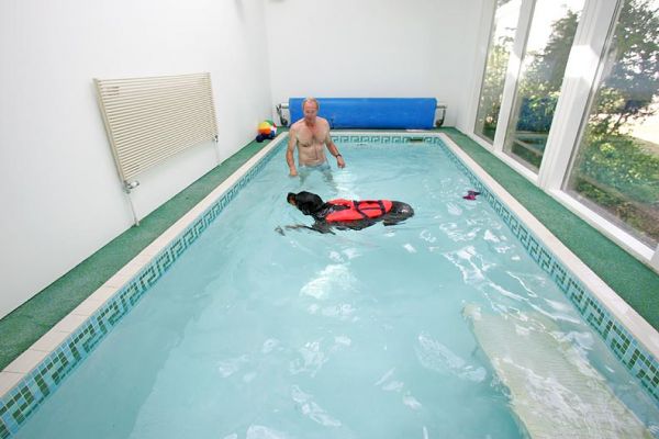 Ronan Having A Swim
A nice summer afternoon dip in the heated (88 degree F) swimming pool.
Keywords: Ronan Rottweiler Vic dog swimming canine hydrotherapy Lucies Farm Ritz Canine