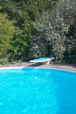 Ready to Dive?
The diving board on our outdoor swimming pool, on the morning of September 19 2006.  A nice, bright, warm early autumn day.  The water, although heated, is quite cold --- but it looks inviting.  
Keywords: diving board Whitecroft swimming pool