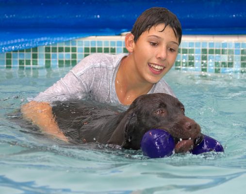 I am NOT letting go
Mots-clés: Ross George Chocolate Labrador