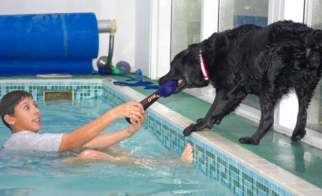 Who's having the most fun?
Palabras clave: Ross Millie Black Labrador