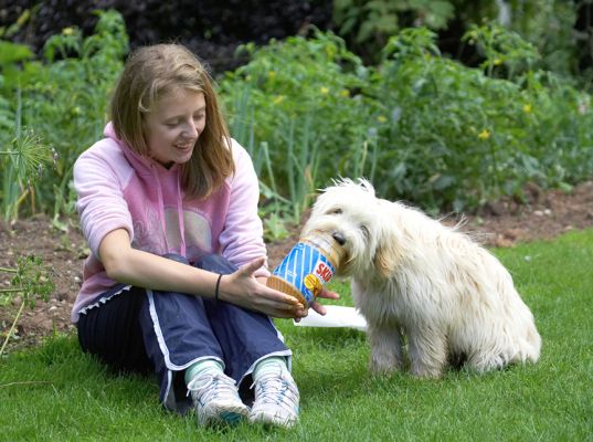 The whole jar.  This is more like it.
Anahtar kelimeler: Beth Rupert Tibetan Terrier