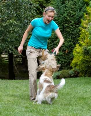 Oh yeah, think you can win one handed!!
Keywords: Bassett Blonde Dog Dogs Grand Hound Hounds Julita Libbie Pheasant Play Playing Playtime Smile Smiling Tug-o-war Vendeen Woman
