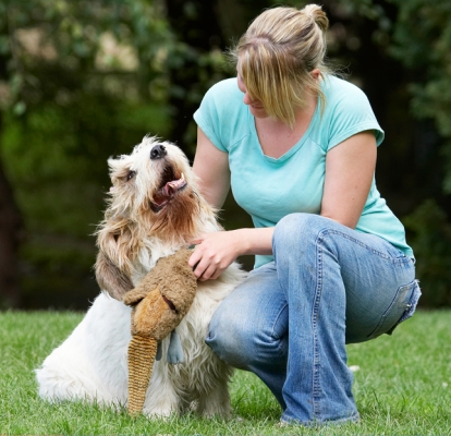 ........... yesssssssssssssss
Ключові слова: Alfie Bassett Blonde Cuddle Cuddles Cuddling Dog Dogs Grand Hound Hounds Kate Play Playing Playtime Scratch Scratching Vendeen Woman