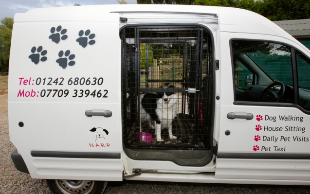 Ah, it's my second home
Anahtar kelimeler: Arrival Border Collie Collies Dog Dogs Jackie Taxi Tess Transport Travel Traveling Travelling