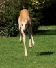 sept_16_2007-0021.jpg