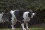 2q9w6560.jpg