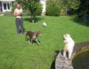 ZSept-17-06-0152.jpg